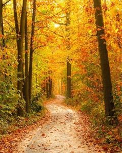 AOFOTO 8x10ft Fall Forest Path Photography Studio Backdrop Autumn Park Scenic Background Woods Fallen Leaves Adult Kid Girl Boy Lovers Man Artistic Portrait Travel Photoshoot Props Video Drape Vinyl