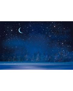 AOFOTO 10x6.5ft Dreamy Moon Night Fantasy Snowflake Backdrop Snowing Winter Forest Blurry Pine Trees Photography Background Cartoon Snow Stars Fairy Tale Christmas Kids Baby Photo Studio Props Vinyl