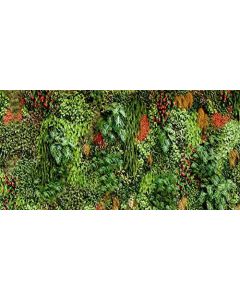 AOFOTO 6x3ft Springs Green Plant Leaves Backdrop Flowers Grass Wall Grils Kids Family Tea Party Events Decorations Festival Wedding Background for Photography Photo Studio Props Vinyl Wallpaper