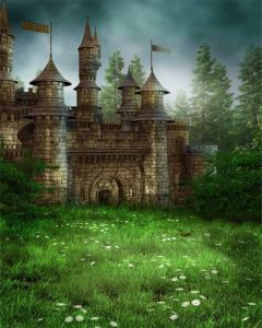 AOFOTO 8x10ft Magic Forest Vintage Medieval Castle Background Fairytale Florets Meadow Photography Backdrop Wonderland Princess Knight Prince Kid Girl Boy Artistic Portrait Photo Studio Props Vinyl