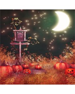 AOFOTO 5x5ft Child Photography Studio Backdrop Photo Shoot Background Dreamy Halloween Grimace Pumpkin Bright Moon Night Starry Sky Grass Guidepost Kid Boy Artistic Portrait Video Props