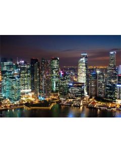 AOFOTO 7x5ft Modern City Nightscape Photography Background Urban Buildings Backdrop Singapore Travel Marina Bay Sands Resort Lovers Adult Artistic Portrait Photo Studio Props Video Drape Wallpaper