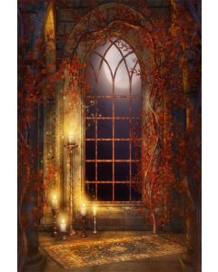 AOFOTO 5x7ft Vintage Gothic Room Background Moonlight Arched Window Photography Backdrop Interior Candles Vines Girl Boy Child Kid Lovers Portrait Halloween Photo Studio Props Video Drape Wallpaper