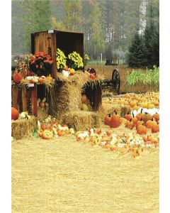 AOFOTO 3x5ft Artistic Backdrops Baby Photography Studio Background Photo Shoot Farm Pumpkin Autumn Harvest Flower Hay Blurry Floor Infant Kid Toddler Portrait Outdoor Scene Digital Video Props
